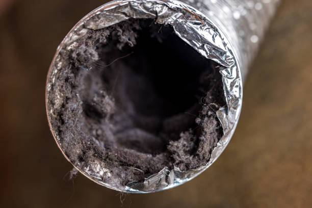 Best Home Air Vent Cleaning  in Port Arthur, TX