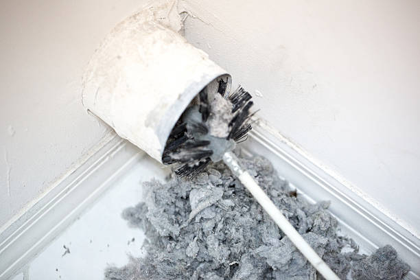 Best Air Vent Cleaning Services  in Port Arthur, TX